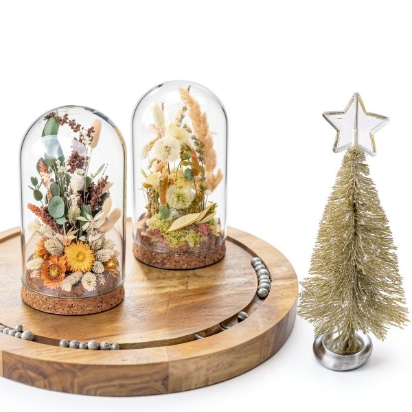 Bell Jar Glass Cloche IMIKEYA 5 Piece Rustic Wood Base Set-2