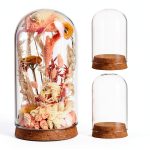 Bell Jar Glass Cloche IMIKEYA 5 Piece Rustic Wood Base Set-0