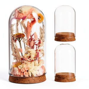 Bell Jar Glass Cloche IMIKEYA 5 Piece Rustic Wood Base Set-0