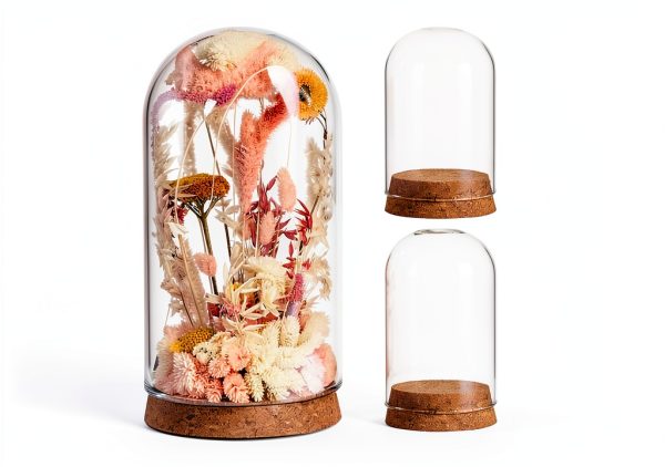 Bell Jar Glass Cloche IMIKEYA 5 Piece Rustic Wood Base Set-0